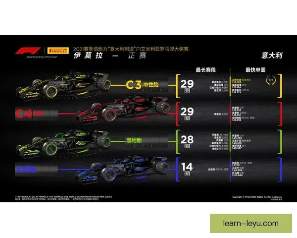 F1赛季最新动态：车队策略与赛道表现全面解析