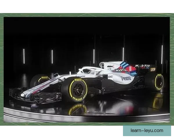 F1赛季最新动态揭秘车队策略与顶尖车手表现分析