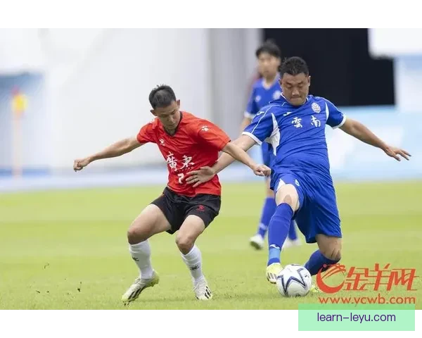 广东省足球赛事发展现状与未来趋势分析