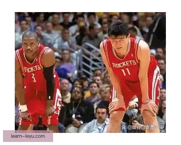 开拓者最新动态：球队阵容调整与新秀表现引球迷关注